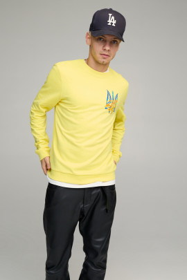 Світшот чоловічий BASIC /no flis/