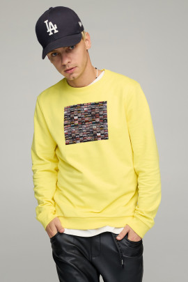 Світшот чоловічий BASIC /no flis/