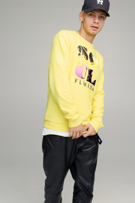 Світшот чоловічий BASIC /no flis/