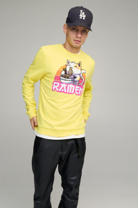 Світшот чоловічий BASIC /no flis/