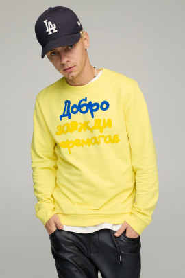 Світшот чоловічий BASIC /no flis/