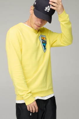 Світшот чоловічий BASIC /no flis/