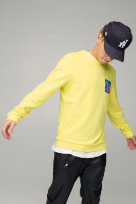 Світшот чоловічий BASIC /no flis/