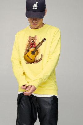 Світшот чоловічий BASIC /no flis/