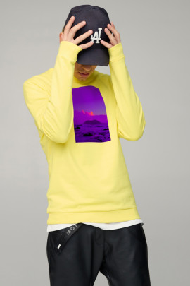 Світшот чоловічий BASIC /no flis/