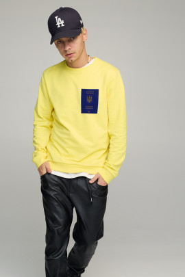 Світшот чоловічий BASIC /no flis/