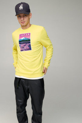 Світшот чоловічий BASIC /no flis/