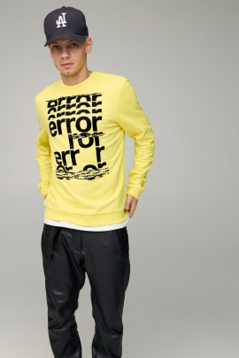 Світшот чоловічий BASIC /no flis/