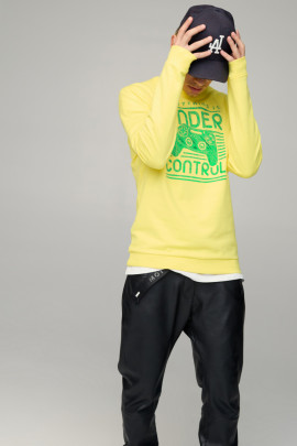 Світшот чоловічий BASIC /no flis/