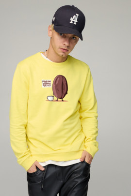 Світшот чоловічий BASIC /no flis/