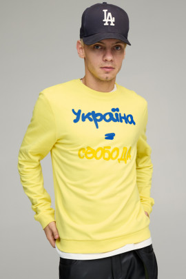 Світшот чоловічий BASIC /no flis/