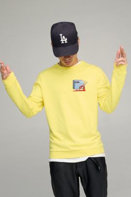 Світшот чоловічий BASIC /no flis/