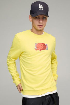 Світшот чоловічий BASIC /no flis/