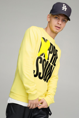 Світшот чоловічий BASIC /no flis/