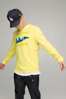 Світшот чоловічий BASIC /no flis/