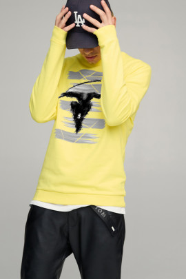 Світшот чоловічий BASIC /no flis/