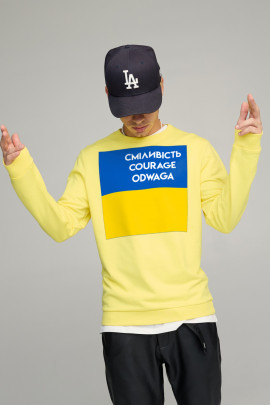 Світшот чоловічий BASIC /no flis/