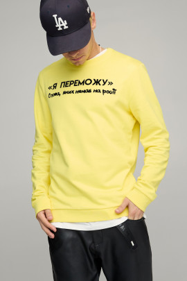 Світшот чоловічий BASIC /no flis/