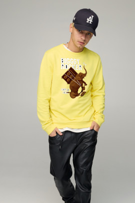 Світшот чоловічий BASIC /no flis/