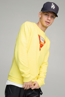 Світшот чоловічий BASIC /no flis/