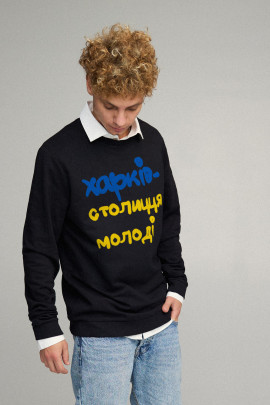 Світшот чоловічий OVERSIZE /no flis/