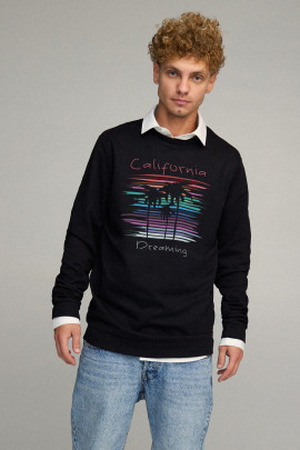 Світшот чоловічий OVERSIZE /no flis/