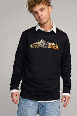 Світшот чоловічий OVERSIZE /no flis/