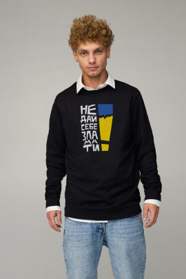 Світшот чоловічий OVERSIZE /no flis/