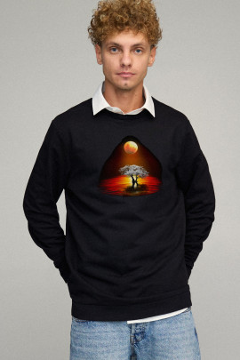 Світшот чоловічий OVERSIZE /no flis/