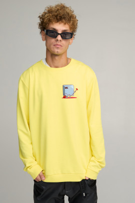 Світшот чоловічий OVERSIZE /no flis/