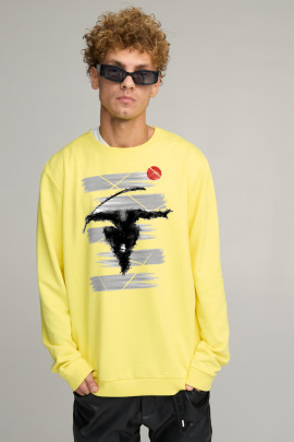 Світшот чоловічий OVERSIZE /no flis/