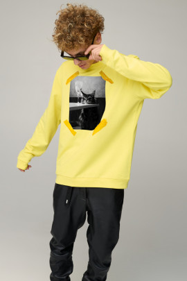 Світшот чоловічий OVERSIZE /no flis/