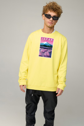 Світшот чоловічий OVERSIZE /no flis/