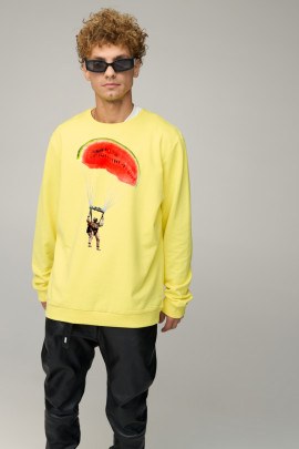 Світшот чоловічий OVERSIZE /no flis/