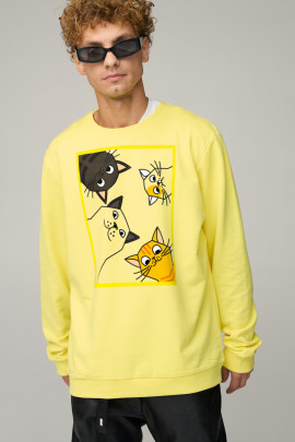 Світшот чоловічий OVERSIZE /no flis/