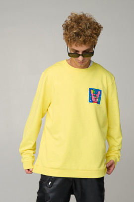 Світшот чоловічий OVERSIZE /no flis/