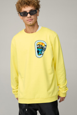 Світшот чоловічий OVERSIZE /no flis/