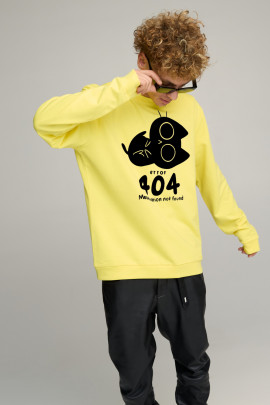 Світшот чоловічий OVERSIZE /no flis/