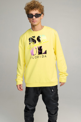 Світшот чоловічий OVERSIZE /no flis/