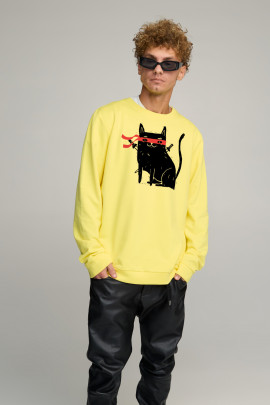 Світшот чоловічий OVERSIZE /no flis/