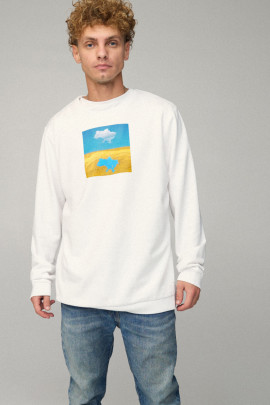 Світшот чоловічий OVERSIZE /no flis/