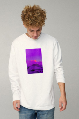 Світшот чоловічий OVERSIZE /no flis/