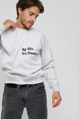 Світшот YAPPI чоловічий  сірий "Ну шо ти там?"