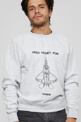 Світшот YAPPI чоловічий  сірий "Need money for F-22 Raptor"