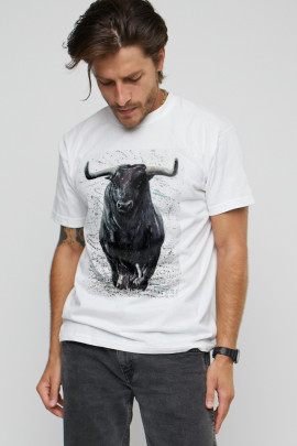 Футболка мужская