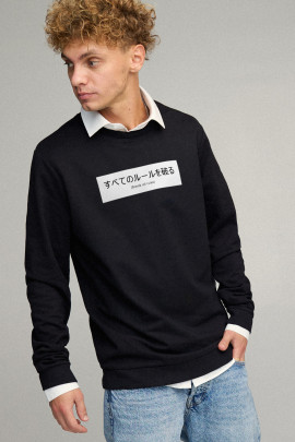 Свитшот мужской OVERSIZE /no flis/