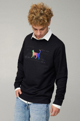 Свитшот мужской OVERSIZE /no flis/