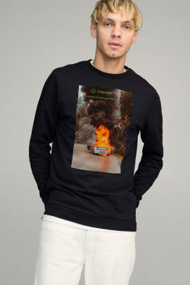 Свитшот мужской BASIC /no flis/