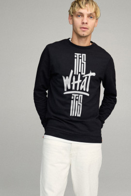 Свитшот мужской BASIC /no flis/