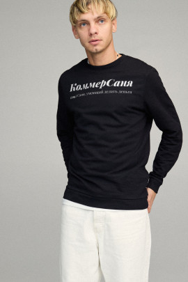 Свитшот мужской BASIC /no flis/